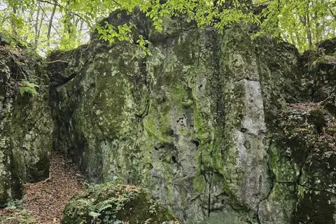 Скелі у лісі