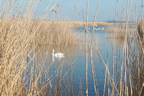 Озеро Криве