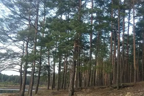 Озеро Святе — фото 3