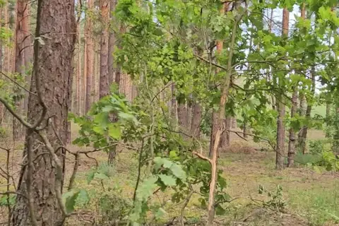 Озеро Чорне