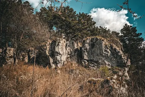 Франкові скелі