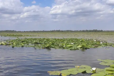 Озеро Біле