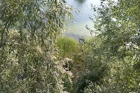 Блакитне озеро — фото 7