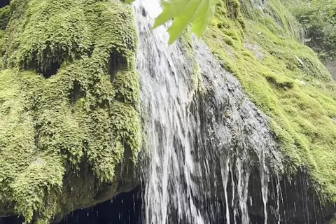 Малієвецький водоспад — фото 8