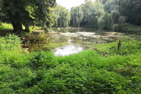 Малієвецький водоспад — фото 10