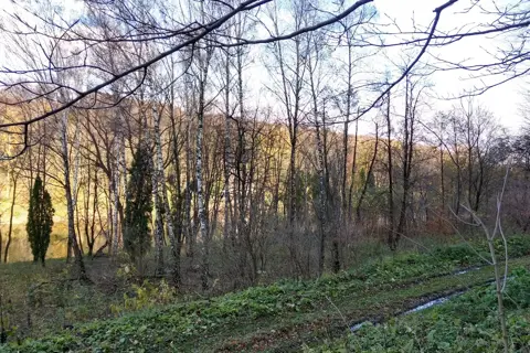 Озеро Електрон