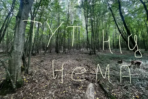 Скелі на горі Перший камінь