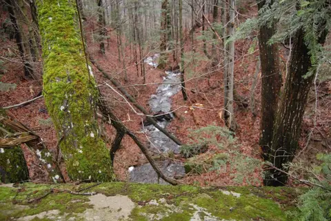 Лумшорські водоспади — фото 9
