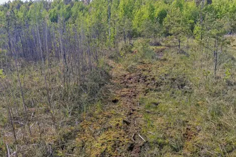 Озеро Святе (51.05, 30.80)
