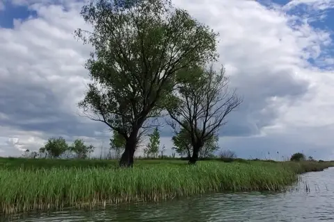 Озеро Святище — фото 5