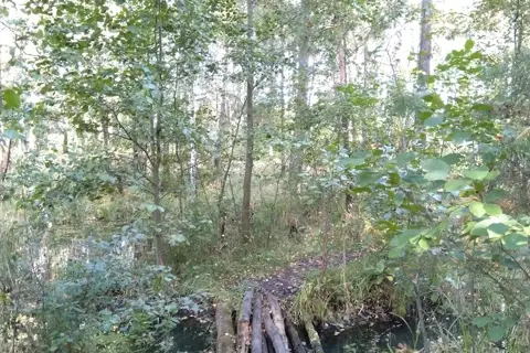 Голубі озера — фото 5