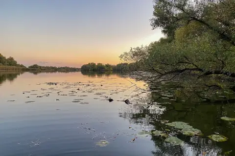 Хортицькі плавні