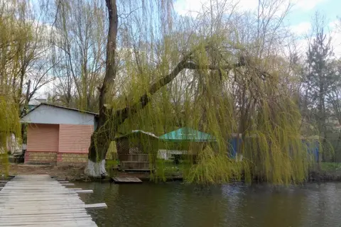 Водоспад (Хоменки) — фото 10
