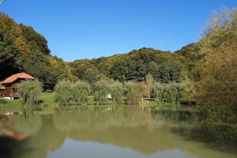 Санаторій Карпатія — фото 4