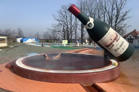 Оздоровчо-рекреаційний комплекс "Косино" — фото 6
