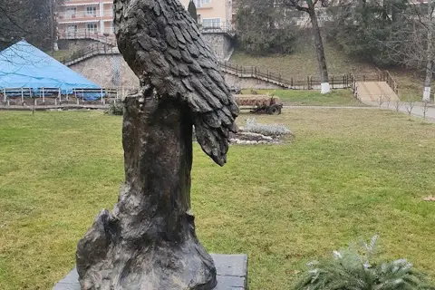 Санаторій Боржава — фото 6
